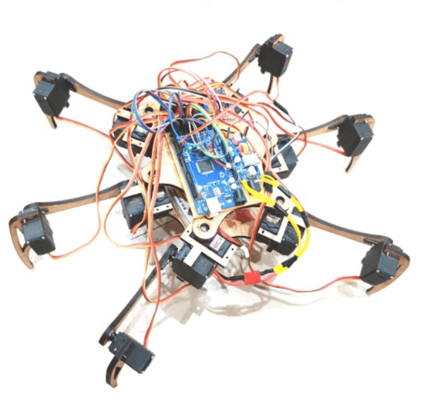 18 DOF Hexapod Spider Robot